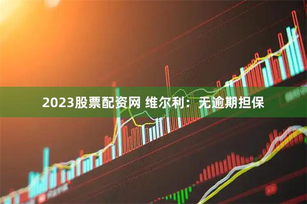 2023股票配资网 维尔利：无逾期担保