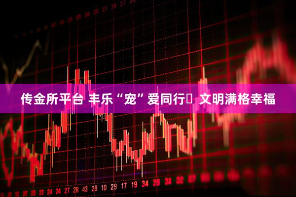传金所平台 丰乐“宠”爱同行・文明满格幸福
