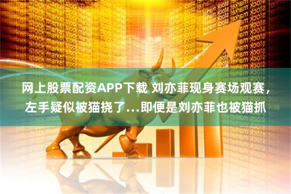 网上股票配资APP下载 刘亦菲现身赛场观赛，左手疑似被猫挠了…即便是刘亦菲也被猫抓