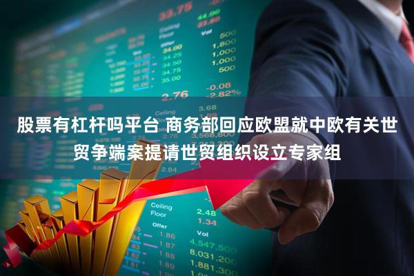 股票有杠杆吗平台 商务部回应欧盟就中欧有关世贸争端案提请世贸组织设立专家组