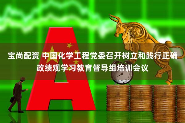 宝尚配资 中国化学工程党委召开树立和践行正确政绩观学习教育督导组培训会议